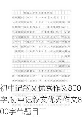 初中记叙文优秀作文800字,初中记叙文优秀作文800字带题目