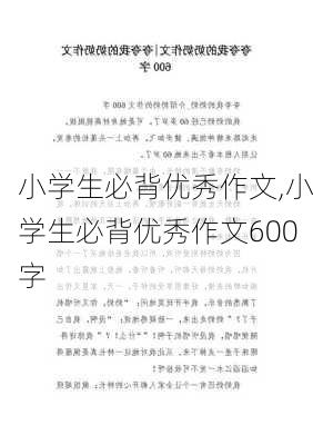 小学生必背优秀作文,小学生必背优秀作文600字