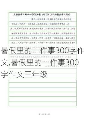 暑假里的一件事300字作文,暑假里的一件事300字作文三年级