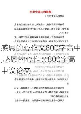 感恩的心作文800字高中,感恩的心作文800字高中议论文