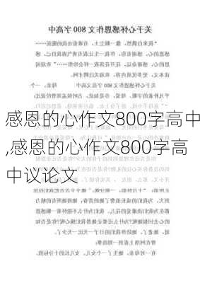 感恩的心作文800字高中,感恩的心作文800字高中议论文