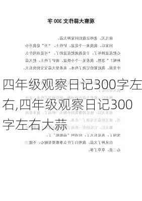 四年级观察日记300字左右,四年级观察日记300字左右大蒜