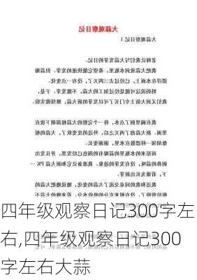 四年级观察日记300字左右,四年级观察日记300字左右大蒜