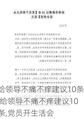 给领导不痛不痒建议10条,给领导不痛不痒建议10条,党员开生活会