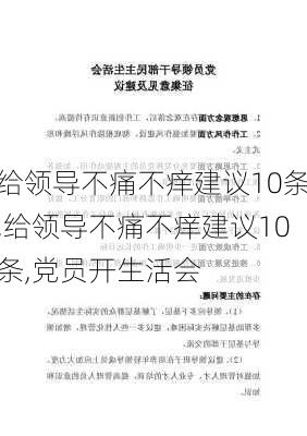 给领导不痛不痒建议10条,给领导不痛不痒建议10条,党员开生活会