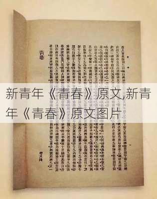 新青年《青春》原文,新青年《青春》原文图片