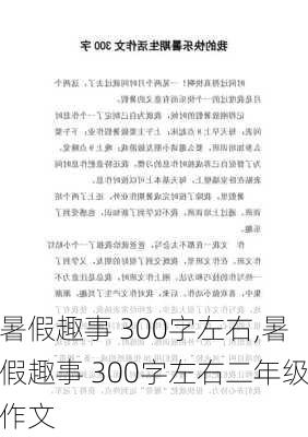 暑假趣事 300字左右,暑假趣事 300字左右二年级作文