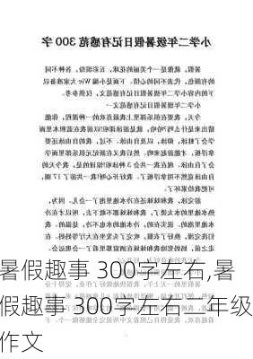 暑假趣事 300字左右,暑假趣事 300字左右二年级作文