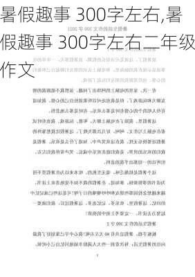 暑假趣事 300字左右,暑假趣事 300字左右二年级作文