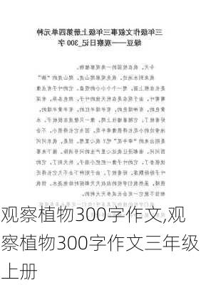 观察植物300字作文,观察植物300字作文三年级上册