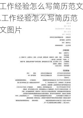 工作经验怎么写简历范文,工作经验怎么写简历范文图片