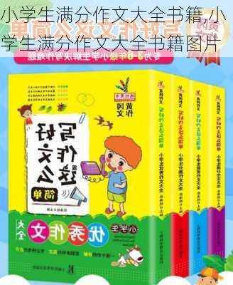 小学生满分作文大全书籍,小学生满分作文大全书籍图片