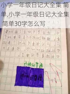 小学一年级日记大全集 简单,小学一年级日记大全集 简单30字怎么写