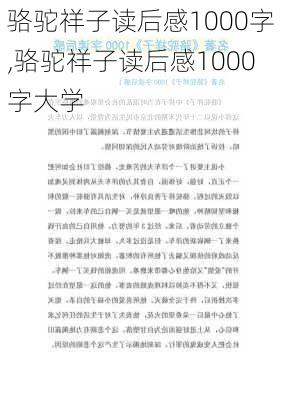 骆驼祥子读后感1000字,骆驼祥子读后感1000字大学