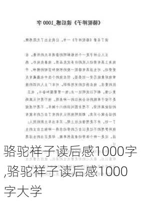 骆驼祥子读后感1000字,骆驼祥子读后感1000字大学