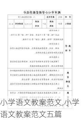 小学语文教案范文,小学语文教案范文五篇