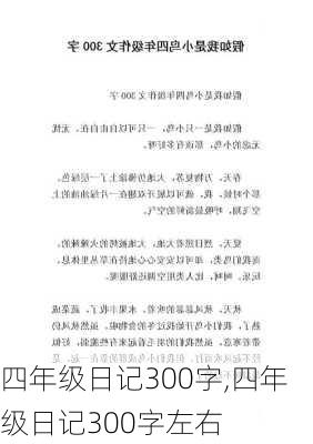 四年级日记300字,四年级日记300字左右