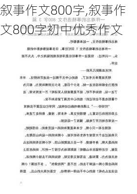 叙事作文800字,叙事作文800字初中优秀作文