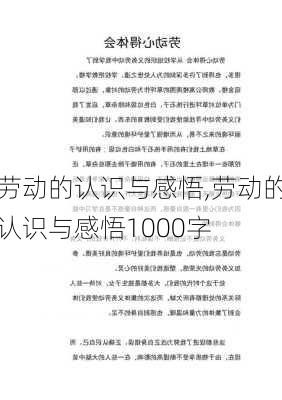 劳动的认识与感悟,劳动的认识与感悟1000字