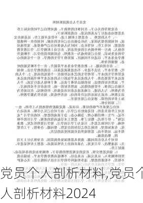 党员个人剖析材料,党员个人剖析材料2024