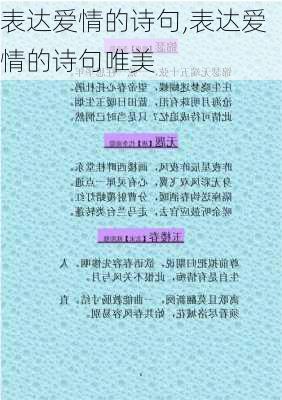 表达爱情的诗句,表达爱情的诗句唯美