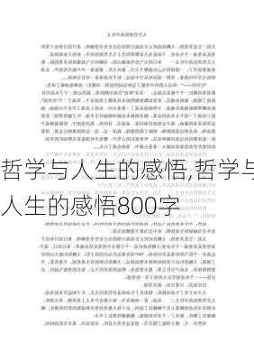 哲学与人生的感悟,哲学与人生的感悟800字