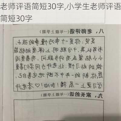 老师评语简短30字,小学生老师评语简短30字