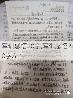 军训感悟20字,军训感悟20字左右