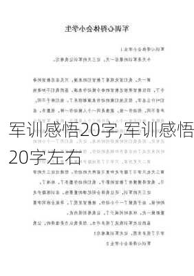 军训感悟20字,军训感悟20字左右