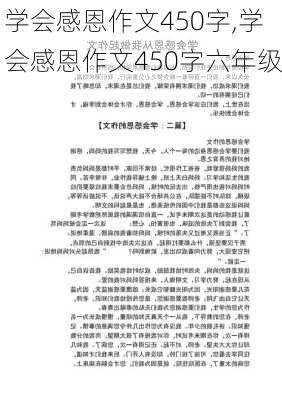 学会感恩作文450字,学会感恩作文450字六年级