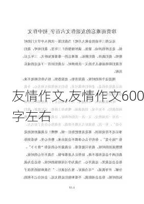 友情作文,友情作文600字左右