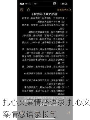 扎心文案情感语录,扎心文案情感语录长句