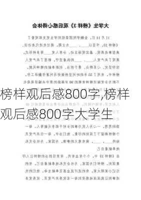 榜样观后感800字,榜样观后感800字大学生