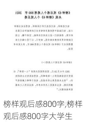 榜样观后感800字,榜样观后感800字大学生