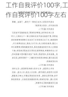 工作自我评价100字,工作自我评价100字左右