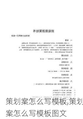 策划案怎么写模板,策划案怎么写模板图文