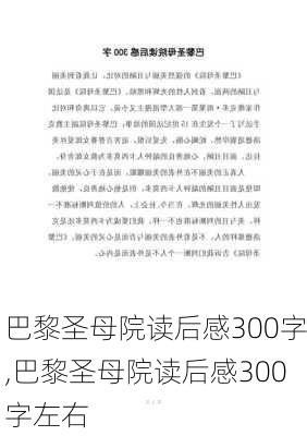 巴黎圣母院读后感300字,巴黎圣母院读后感300字左右