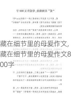 藏在细节里的母爱作文,藏在细节里的母爱作文800字