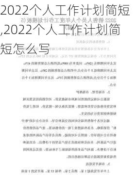 2022个人工作计划简短,2022个人工作计划简短怎么写