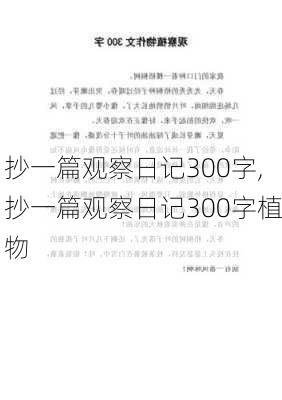 抄一篇观察日记300字,抄一篇观察日记300字植物