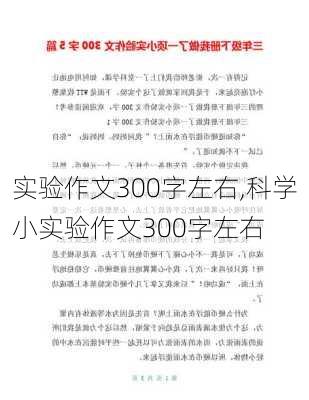 实验作文300字左右,科学小实验作文300字左右