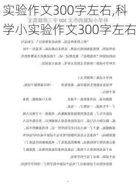 实验作文300字左右,科学小实验作文300字左右