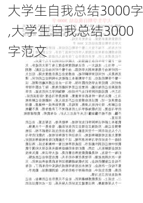 大学生自我总结3000字,大学生自我总结3000字范文