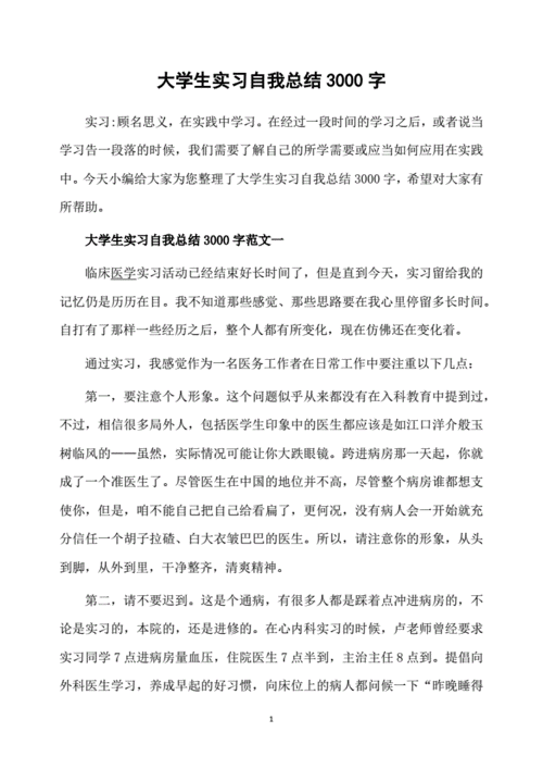 大学生自我总结3000字,大学生自我总结3000字范文