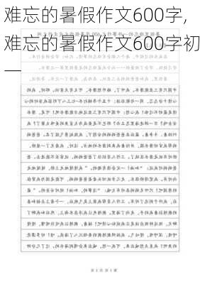 难忘的暑假作文600字,难忘的暑假作文600字初一