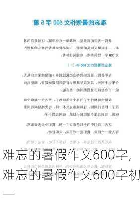 难忘的暑假作文600字,难忘的暑假作文600字初一