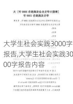 大学生社会实践3000字报告,大学生社会实践3000字报告内容