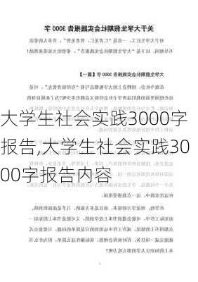 大学生社会实践3000字报告,大学生社会实践3000字报告内容