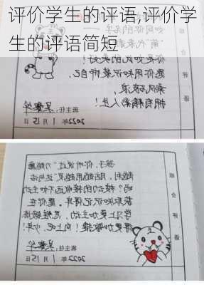 评价学生的评语,评价学生的评语简短