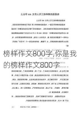 榜样作文800字,你是我的榜样作文800字